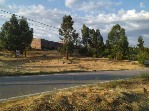 Terreno Para Construção  Venda em Lagares,Oliveira do Hospital