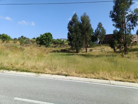 Terreno Para Construção  Venda em Lagares,Oliveira do Hospital
