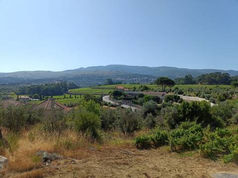 Terreno Rústico  Venda em Nespereira,Gouveia
