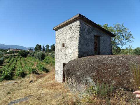 Terreno Rústico  Venda em Nespereira,Gouveia
