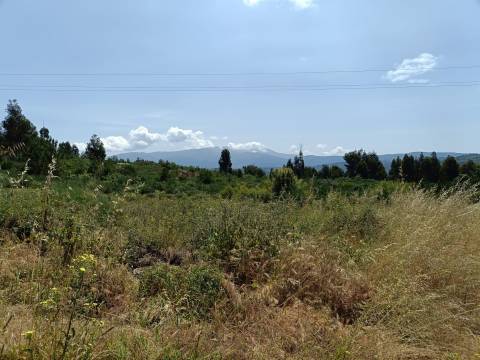 Quinta  Venda em Lagares,Oliveira do Hospital