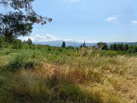 Quinta  Venda em Lagares,Oliveira do Hospital
