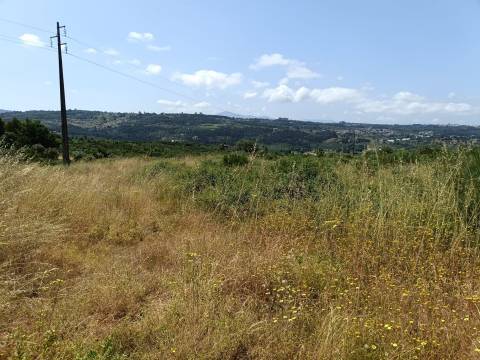 Quinta  Venda em Lagares,Oliveira do Hospital