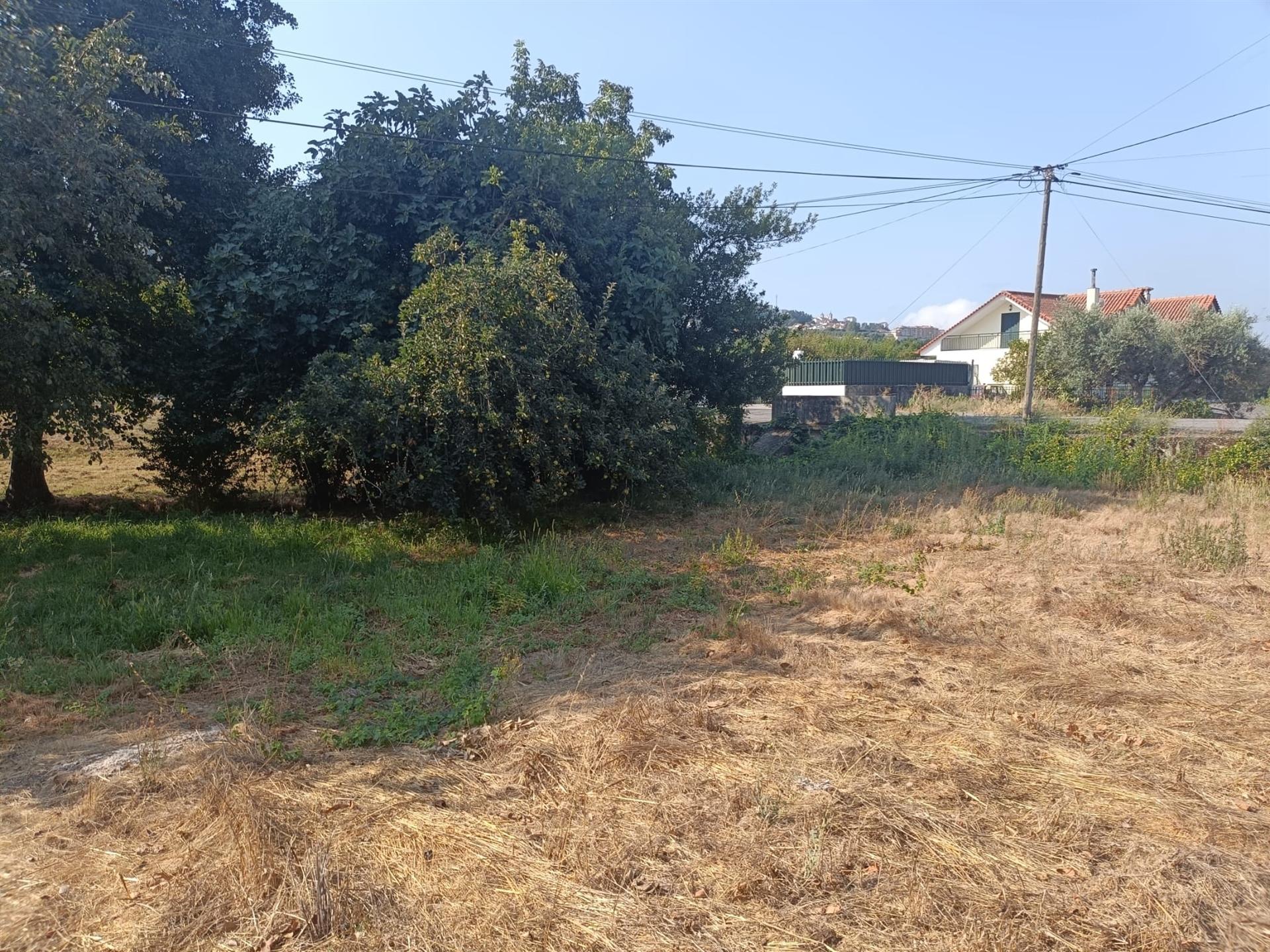 Terreno Para Construção  Venda em Seia, São Romão e Lapa dos Dinheiros,Seia