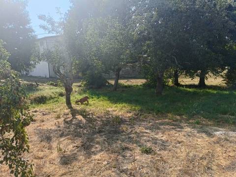 Terreno Para Construção  Venda em Seia, São Romão e Lapa dos Dinheiros,Seia