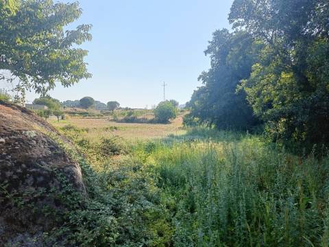 Terreno Rústico  Venda em Seia, São Romão e Lapa dos Dinheiros,Seia