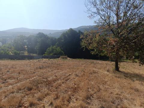 Terreno Rústico  Venda em Seia, São Romão e Lapa dos Dinheiros,Seia