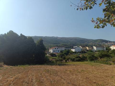 Terreno Rústico  Venda em Seia, São Romão e Lapa dos Dinheiros,Seia