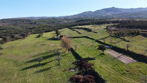 Quinta T4 Venda em Figueiró da Serra e Freixo da Serra,Gouveia