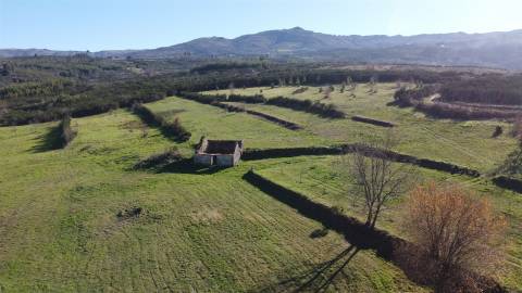 Quinta T4 Venda em Figueiró da Serra e Freixo da Serra,Gouveia