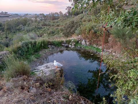 Quinta T2 Venda em Linhares,Celorico da Beira