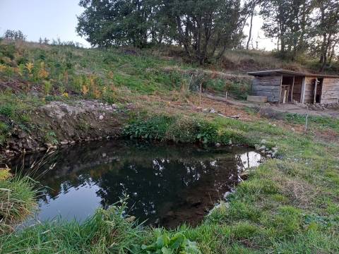Quinta T2 Venda em Linhares,Celorico da Beira