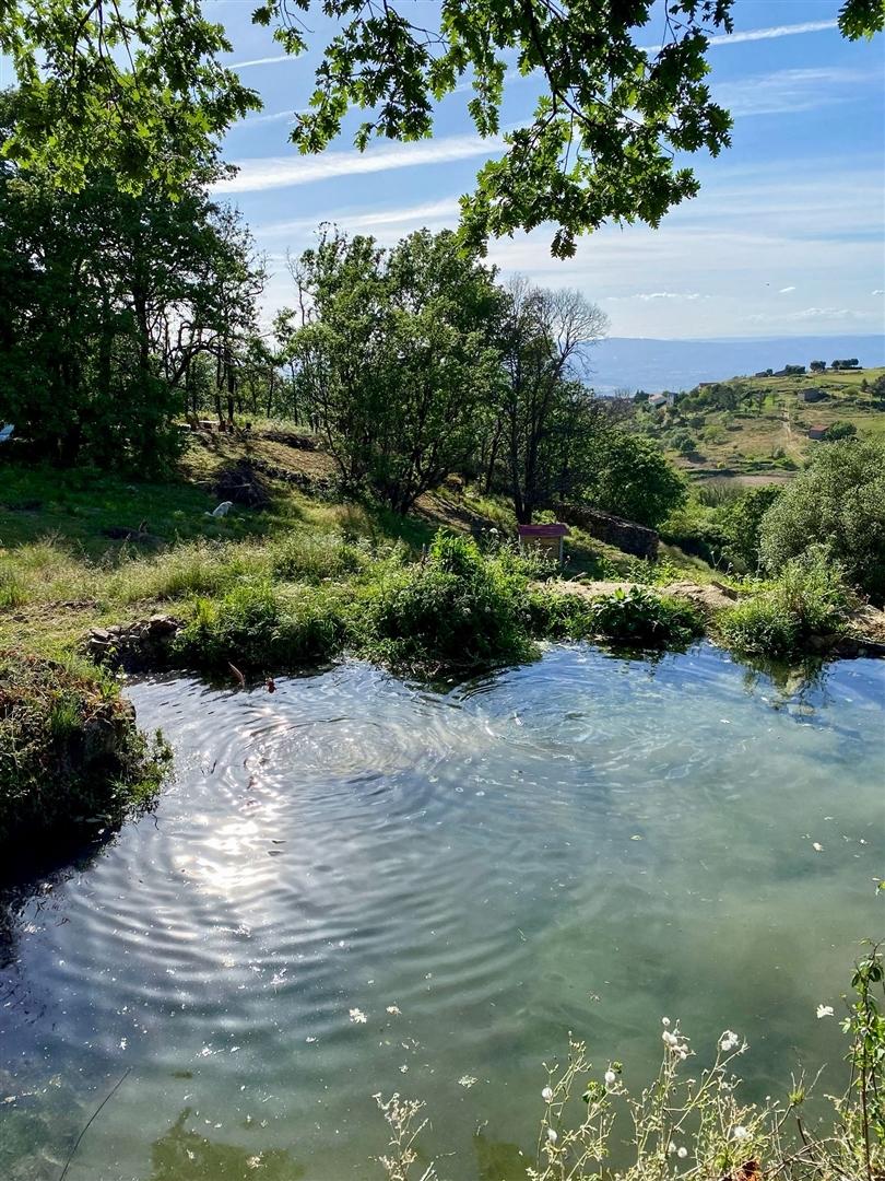 Quinta T2 Venda em Linhares,Celorico da Beira