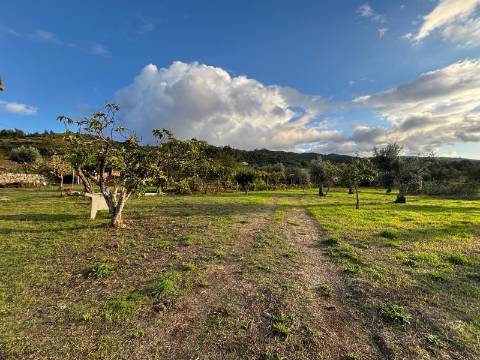 Quinta T3 Venda em Santa Marinha e São Martinho,Seia