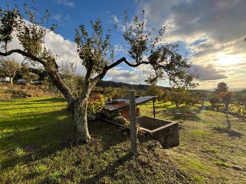 Quinta T3 Venda em Santa Marinha e São Martinho,Seia