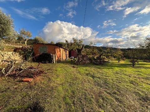 Quinta T3 Venda em Santa Marinha e São Martinho,Seia