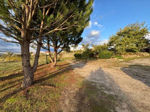 Quinta T3 Venda em Santa Marinha e São Martinho,Seia