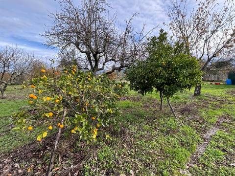 Quinta T2 Venda em Paços da Serra,Gouveia