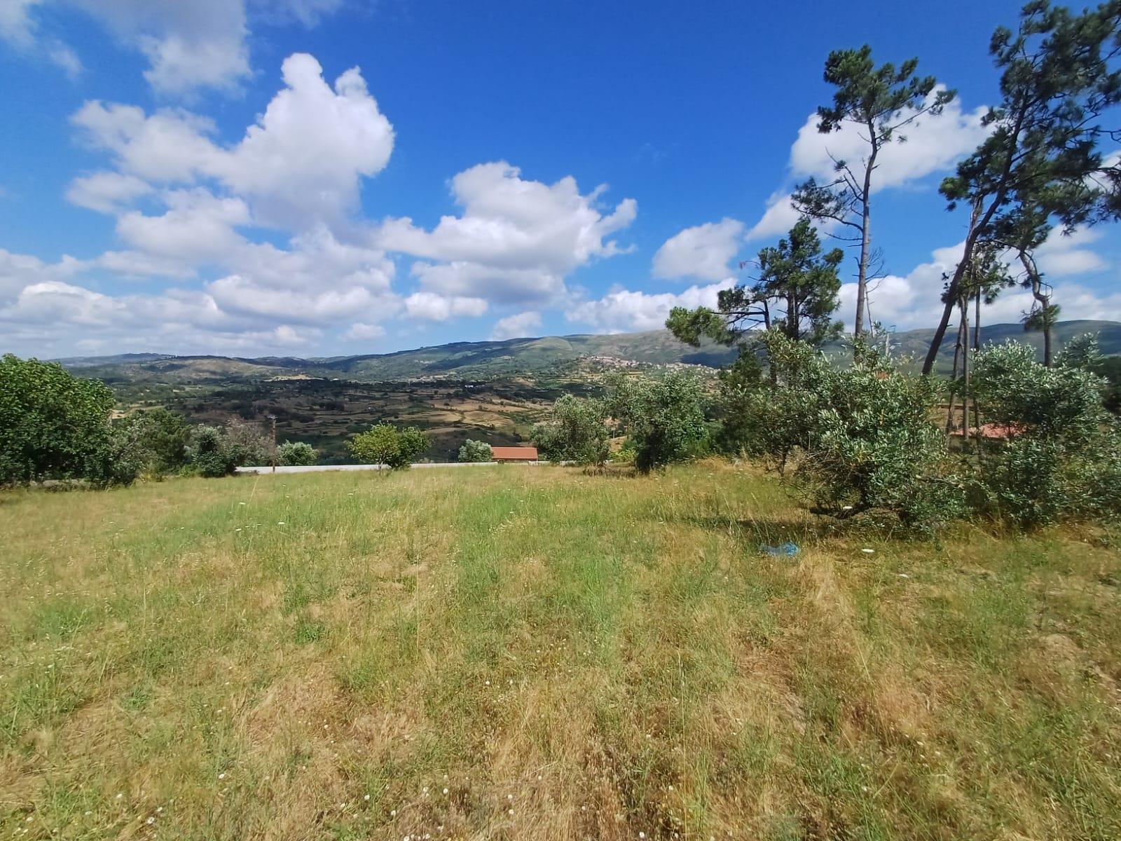 Terreno  Venda em Figueiró da Serra e Freixo da Serra,Gouveia