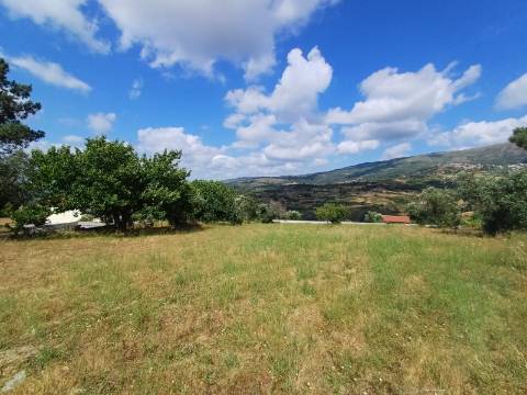 Terreno  Venda em Figueiró da Serra e Freixo da Serra,Gouveia