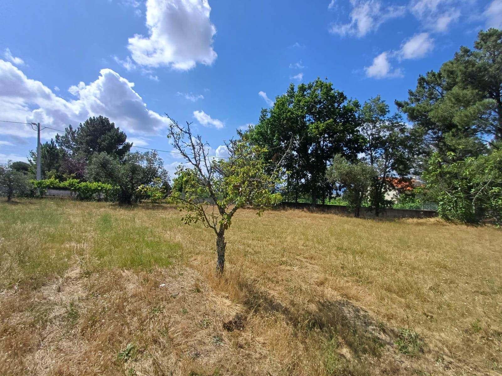 Terreno  Venda em Figueiró da Serra e Freixo da Serra,Gouveia