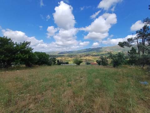 Terreno  Venda em Figueiró da Serra e Freixo da Serra,Gouveia