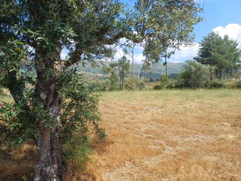 Terreno  Venda em Figueiró da Serra e Freixo da Serra,Gouveia