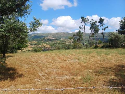 Terreno  Venda em Figueiró da Serra e Freixo da Serra,Gouveia