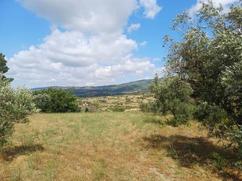 Terreno  Venda em Figueiró da Serra e Freixo da Serra,Gouveia