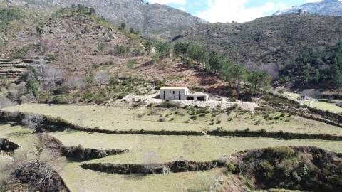 Quinta T0 Venda em Loriga,Seia