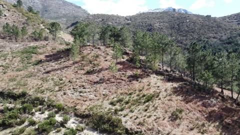 Quinta T0 Venda em Loriga,Seia