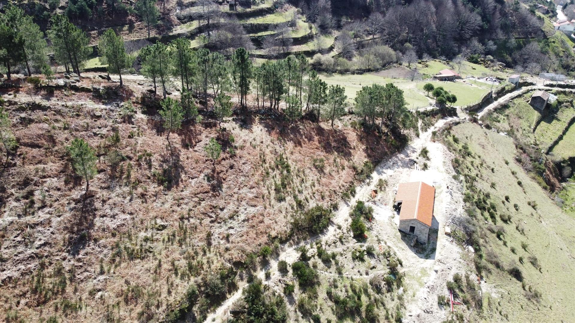 Quinta T0 Venda em Loriga,Seia