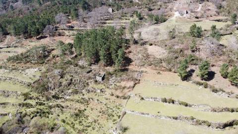 Quinta T0 Venda em Loriga,Seia