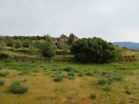 Quinta T2 Venda em Figueiró da Serra e Freixo da Serra,Gouveia