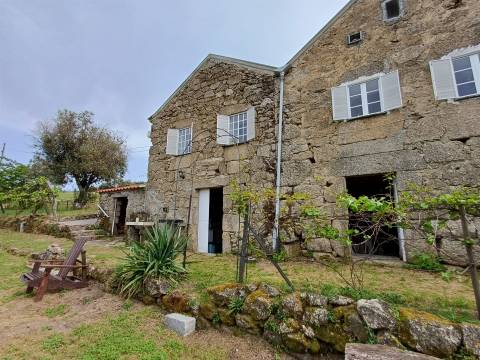 Quinta T2 Venda em Figueiró da Serra e Freixo da Serra,Gouveia