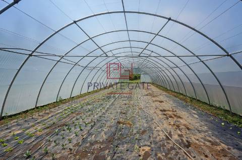 Quinta T7 Venda em Gemieira,Ponte de Lima