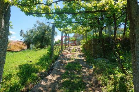 Quinta T7 Venda em Gemieira,Ponte de Lima