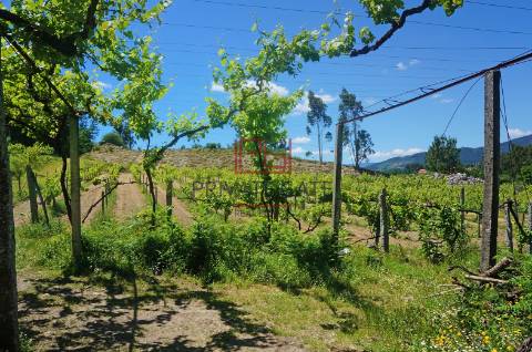 Quinta T7 Venda em Gemieira,Ponte de Lima