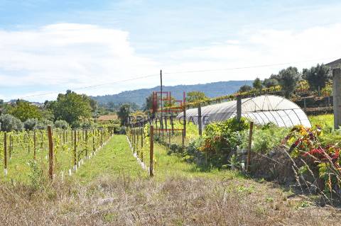 Quinta T7 Venda em Gemieira,Ponte de Lima