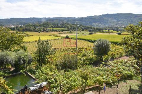 Quinta T7 Venda em Gemieira,Ponte de Lima