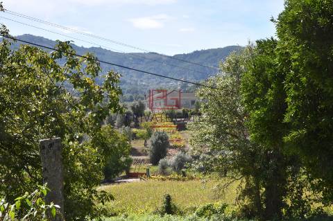 Quinta T7 Venda em Gemieira,Ponte de Lima