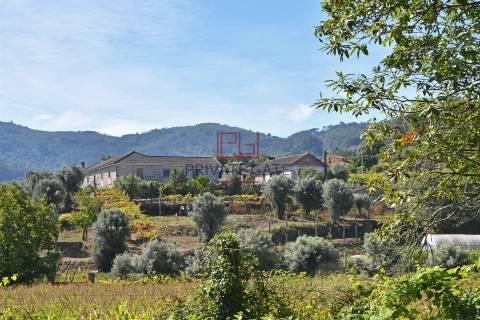Quinta T7 Venda em Gemieira,Ponte de Lima