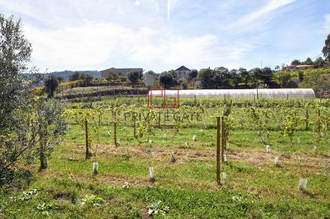Quinta T7 Venda em Gemieira,Ponte de Lima