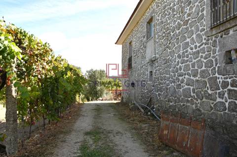 Quinta T7 Venda em Gemieira,Ponte de Lima