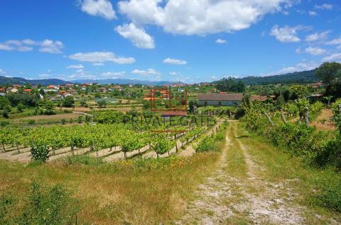 Quinta T7 Venda em Gemieira,Ponte de Lima