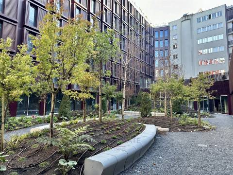 Apartamento T3 Arrendamento em Cedofeita, Santo Ildefonso, Sé, Miragaia, São Nicolau e Vitória,Porto