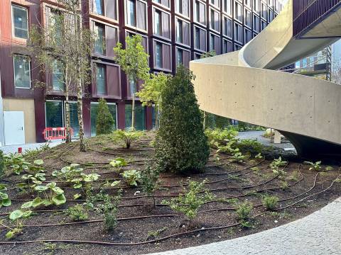 Apartamento T3 Arrendamento em Cedofeita, Santo Ildefonso, Sé, Miragaia, São Nicolau e Vitória,Porto