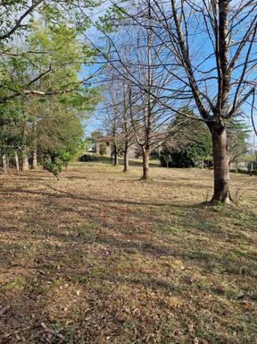Terreno Para Construção  Venda em Vilar de Mouros,Caminha