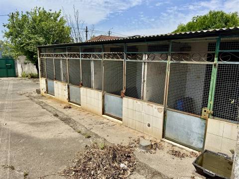 Moradia T5 Venda em Brito,Guimarães