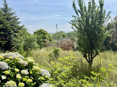 Moradia T5 Venda em Brito,Guimarães